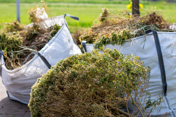 Best Junk Removal Near Me  in Chocowinity, NC